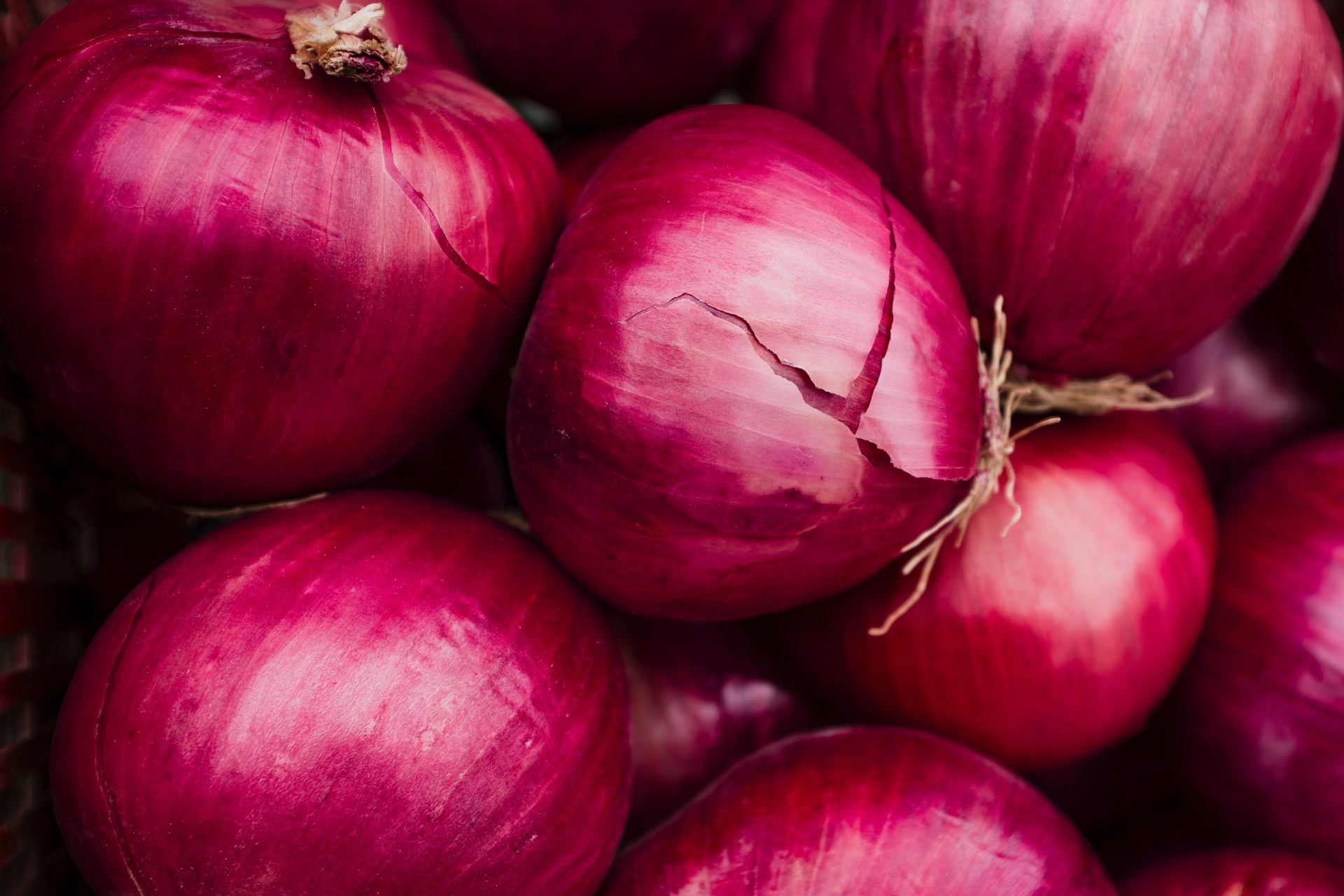 Red Onion